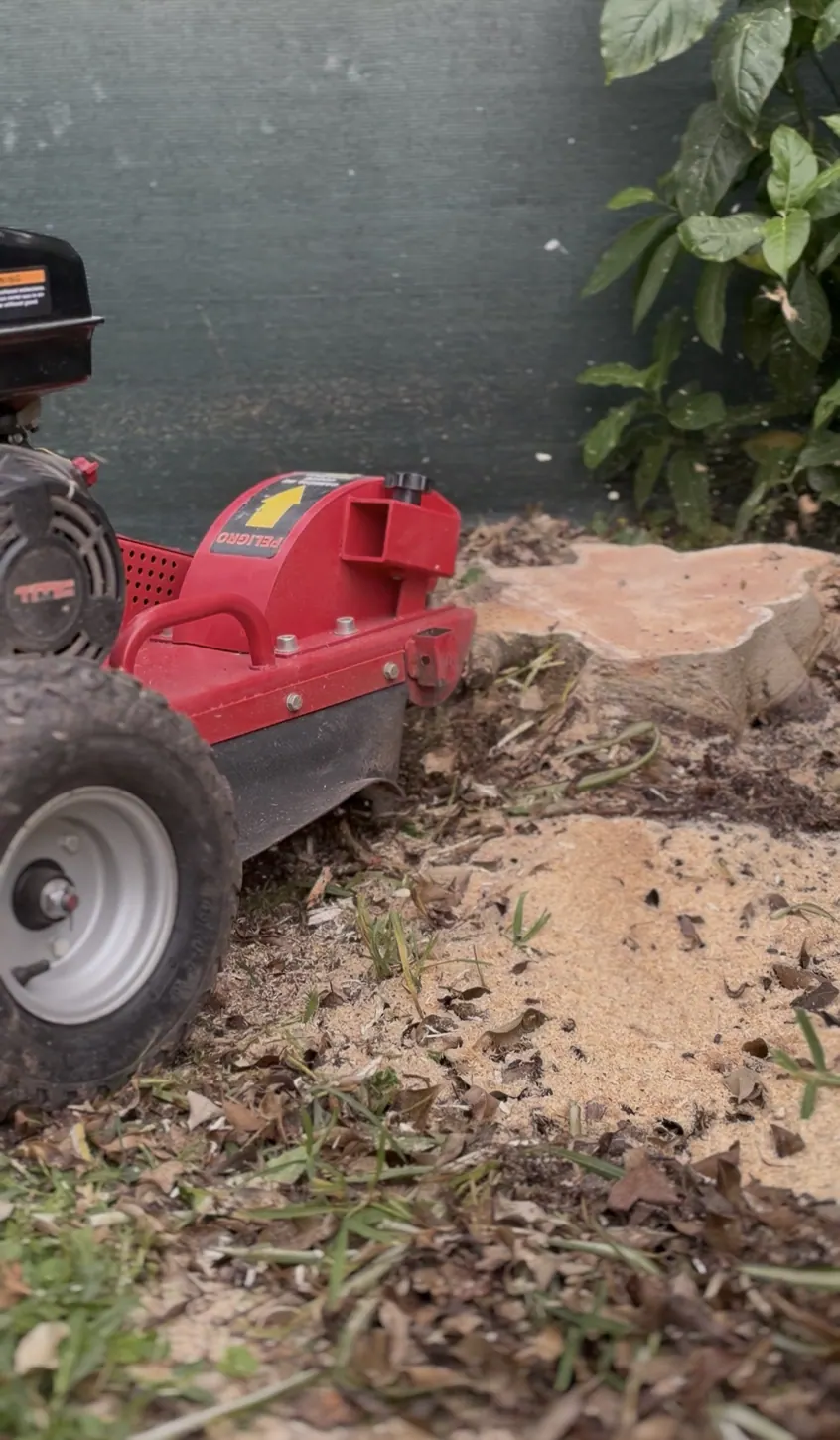 Máquina roja de destoconado junto a tocón y restos de aserrín